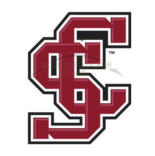 Homemade Santa Clara Broncos Iron-on Transfers (Wall Stickers)NO.6138